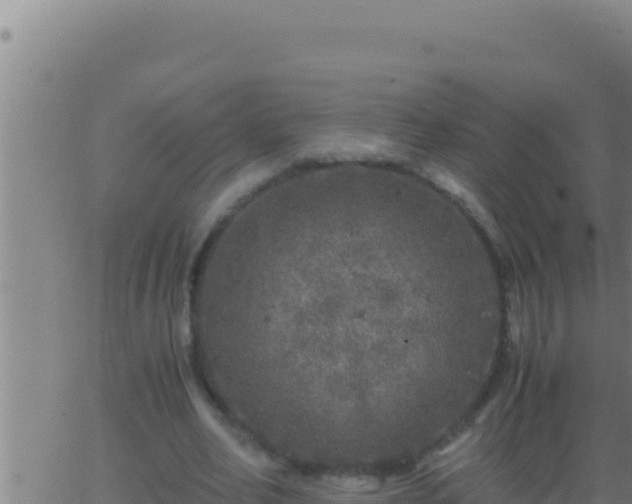 X0000062920582200601202004