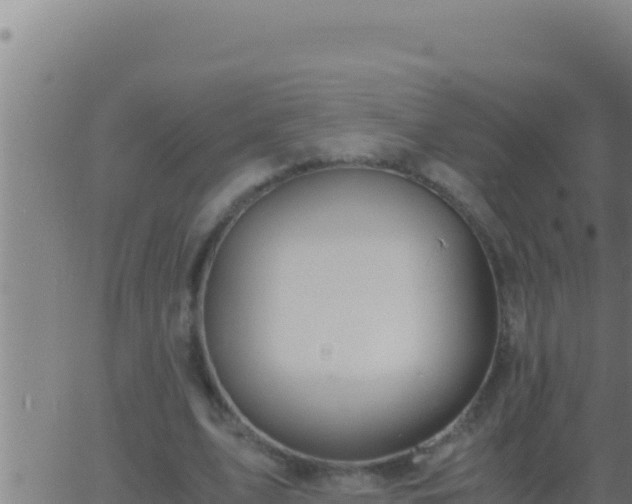 X0000062920583200601202004