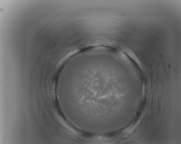 X0000062920585200601202004