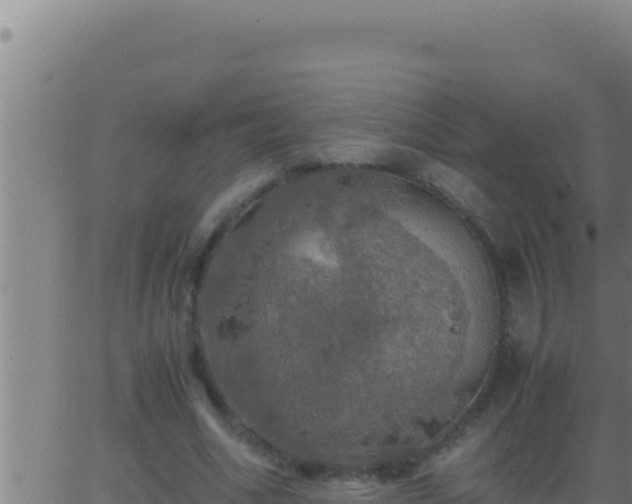 X0000062920586200601202004