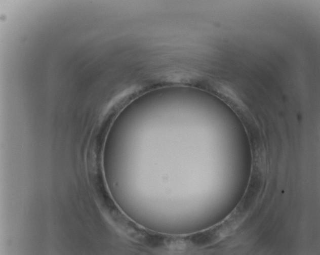 X0000062920587200601202004