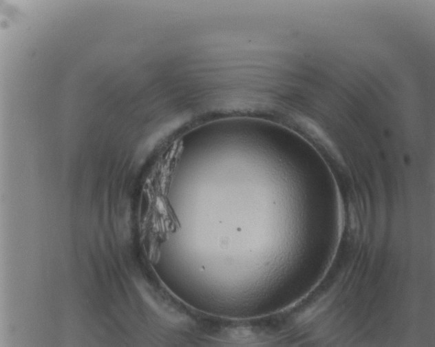 X0000062920588200601202004