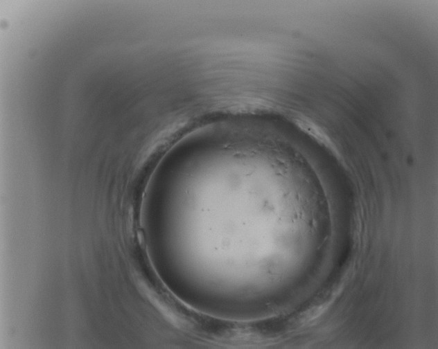 X0000062920589200601202004