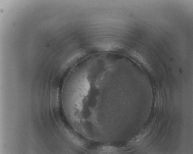 X0000062920590200601202004