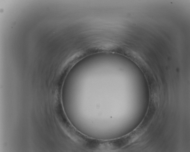 X0000062920591200601202003