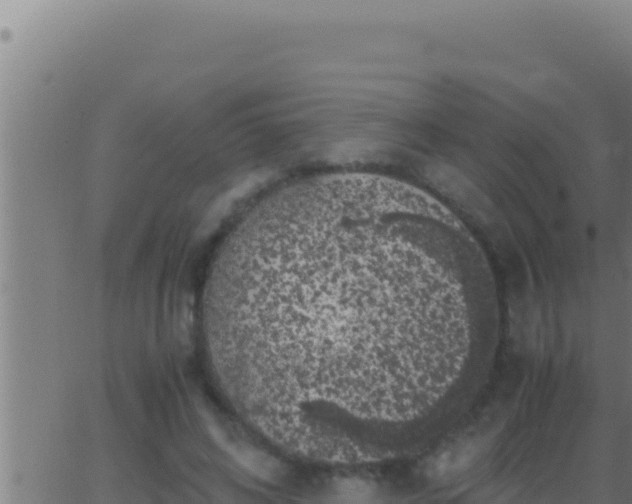 X0000062920592200601202003