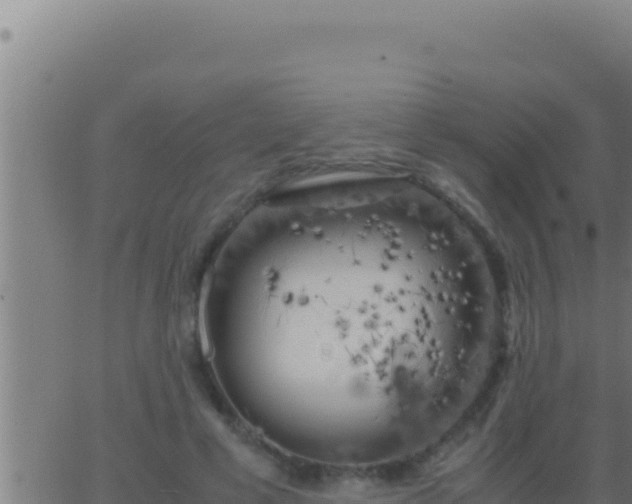 X0000062920593200601202003