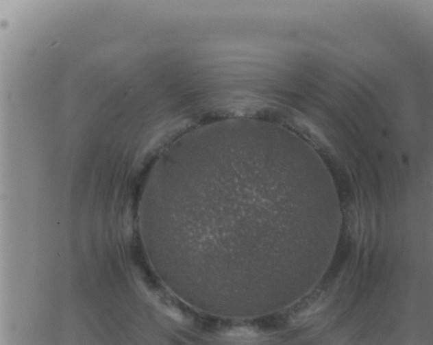 X0000062920594200601202003