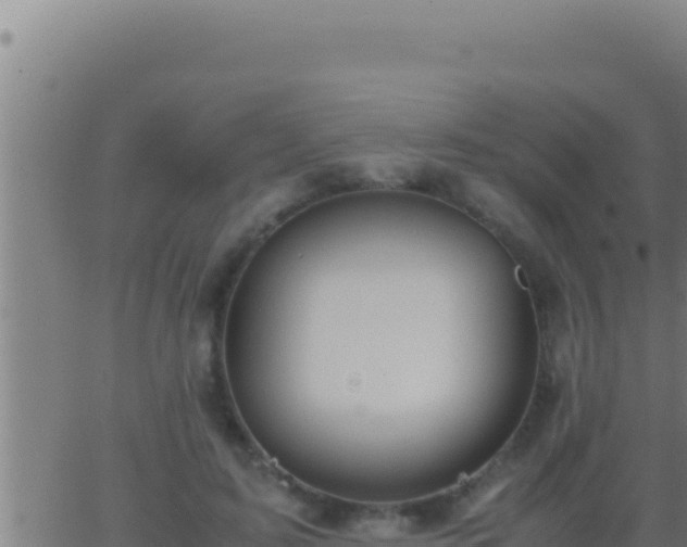 X0000062920595200601202003