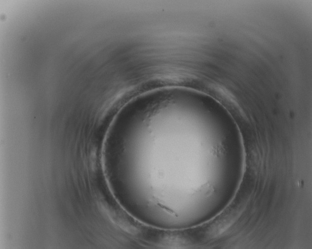 X0000062920596200601202003