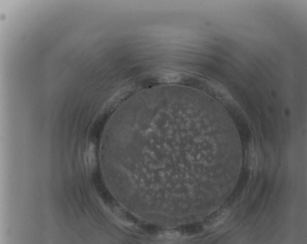 X0000062920598200601202003