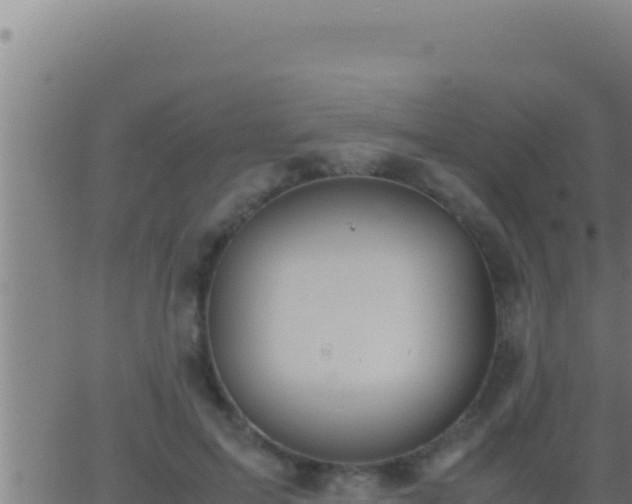 X0000062920599200601202003