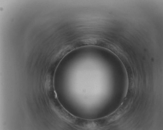 X0000062920600200601202003