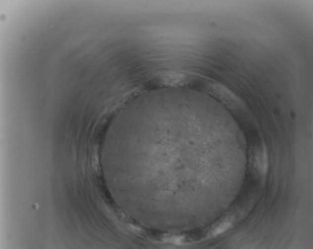 X0000062920602200601202003