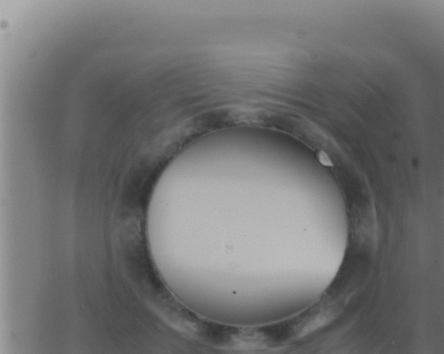 X0000062920603200601202003