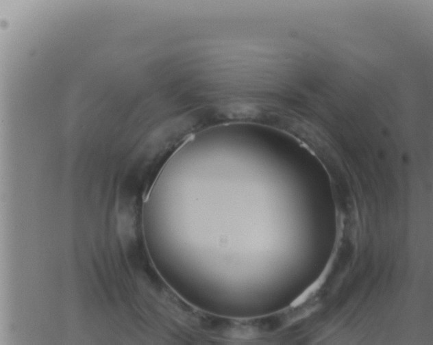 X0000062920604200601202003