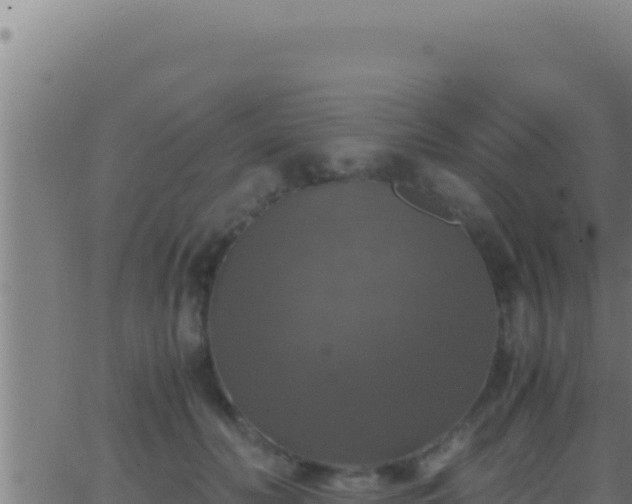 X0000062920606200601202003