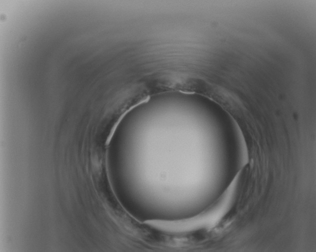 X0000062920607200601202003