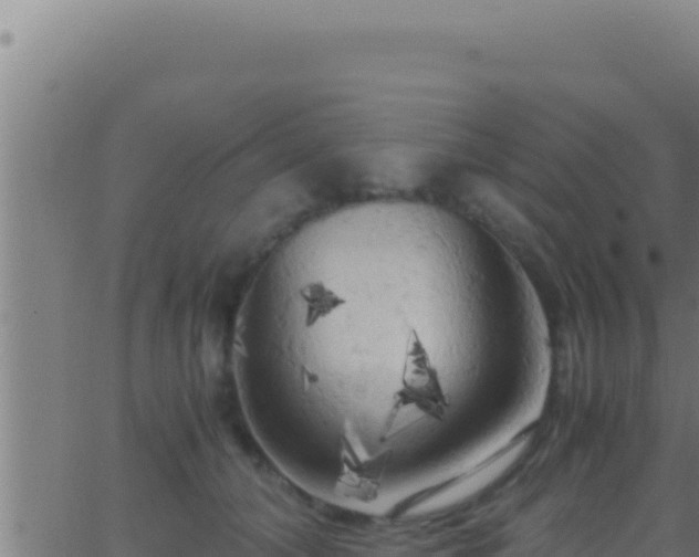 X0000062920608200601202003