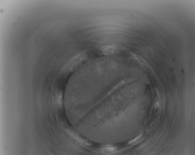 X0000062920610200601202003