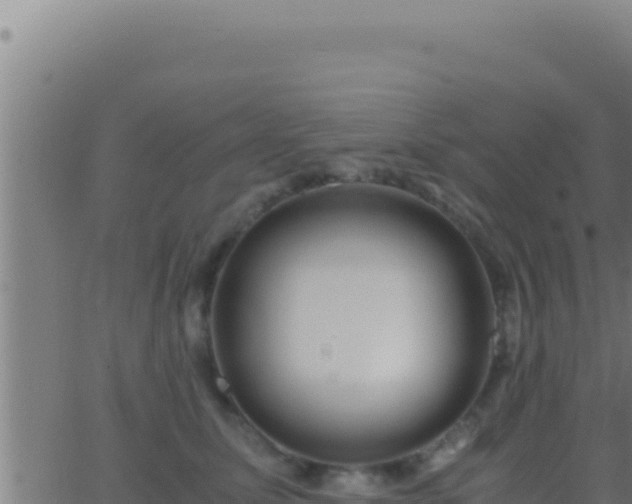 X0000062920611200601202003