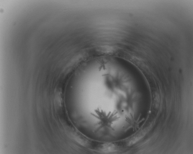 X0000062920612200601202003