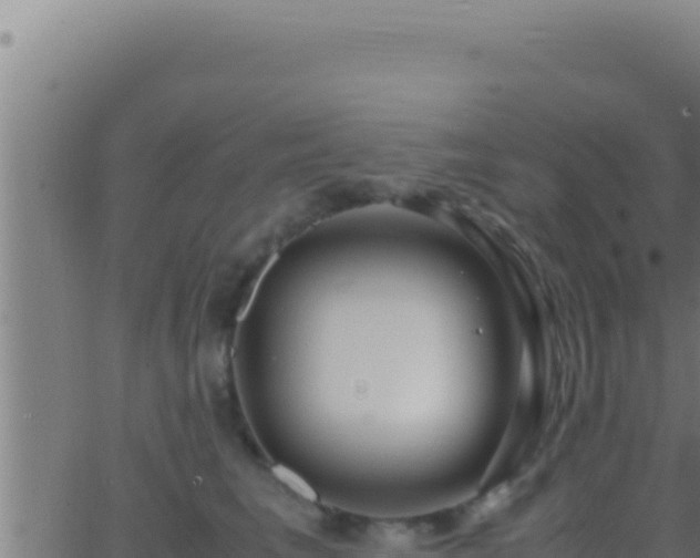 X0000062920613200601202003