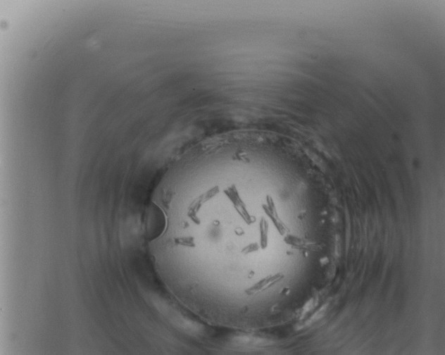 X0000062920614200601202003