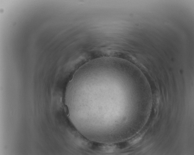 X0000062920615200601202003