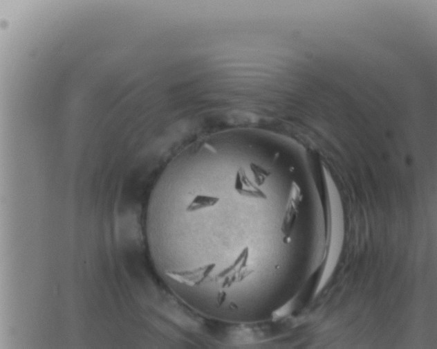 X0000062920616200601202003