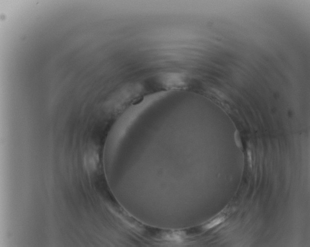 X0000062920618200601202003