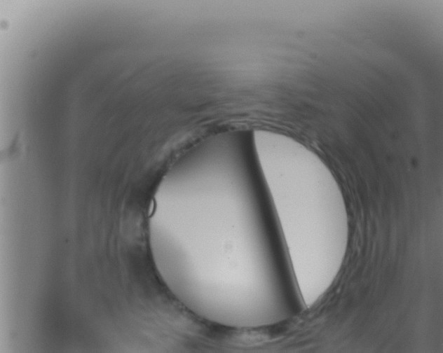 X0000062920619200601202003