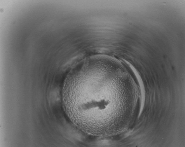 X0000062920620200601202003