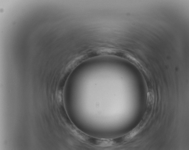 X0000062920621200601202003