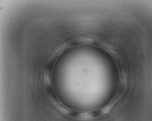 X0000062920622200601202003