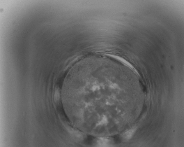 X0000062920623200601202003