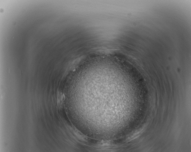 X0000062920624200601202003