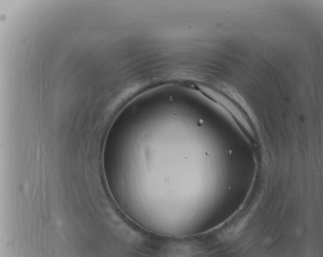 X0000062920625200601202002