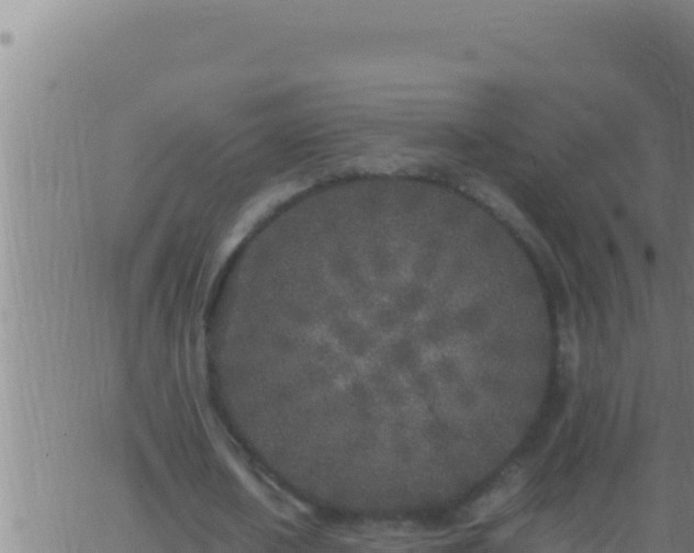 X0000062920626200601202002