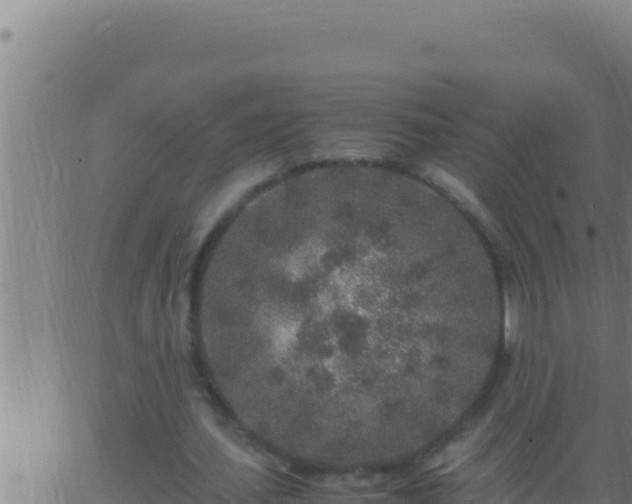 X0000062920627200601202002