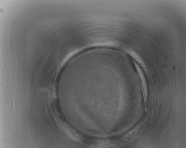 X0000062920628200601202002