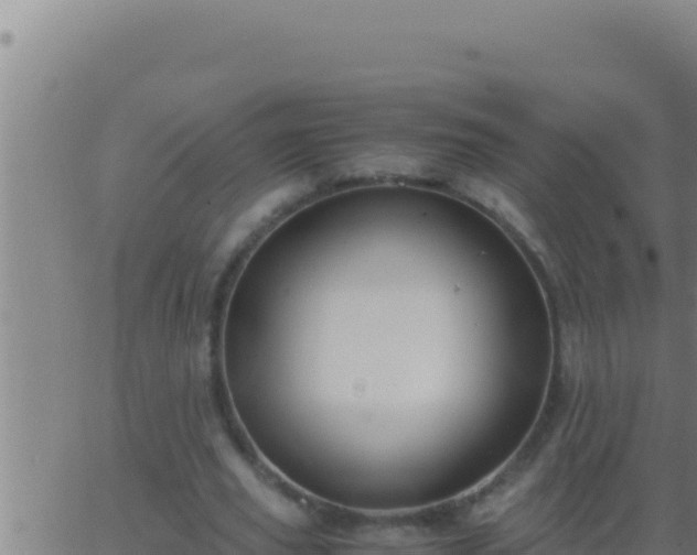 X0000062920629200601202002