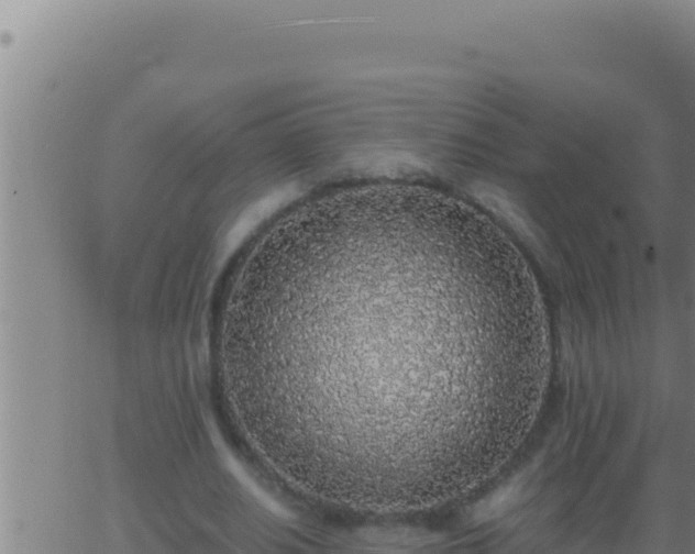 X0000062920630200601202002