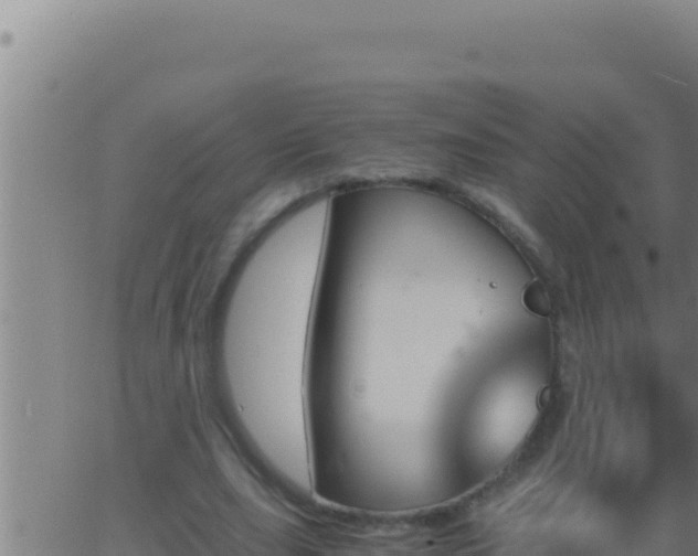 X0000062920631200601202002