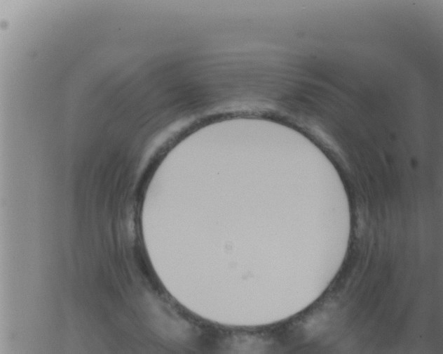 X0000062920632200601202002