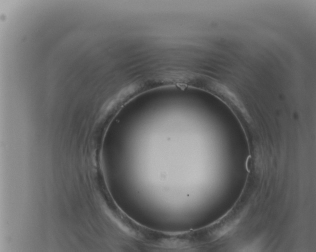 X0000062920633200601202002