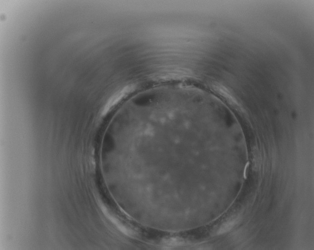 X0000062920634200601202002