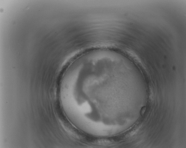 X0000062920636200601202002