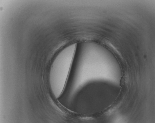 X0000062920637200601202002