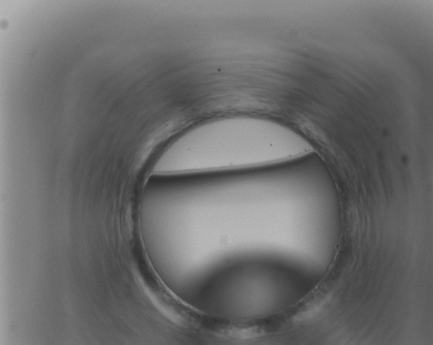 X0000062920638200601202002